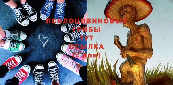 гашишное масло Дмитровск