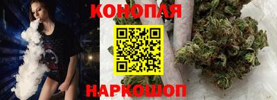 индика Ирбит