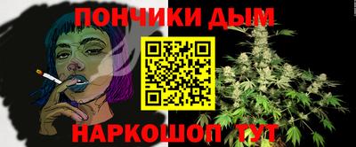 индика Ирбит