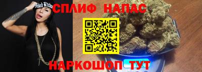 индика Ирбит