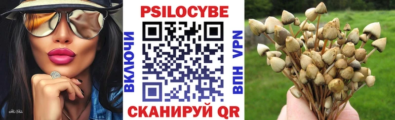 Галлюциногенные грибы мухоморы  Обь 