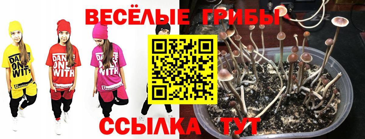 Alpha-PVP СОЛЬ   Обь  Купить наркотики цена  ГАШ  Codein  ГАШИШ  LSD-25  Меф кристаллы  Конопля  Вход с VPN 