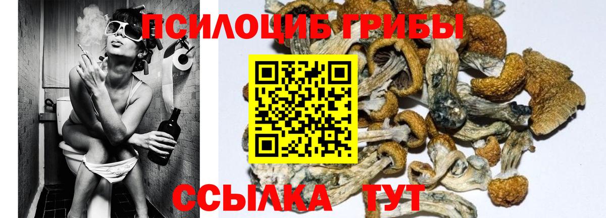 Галлюциногенные грибы ЛСД Обь