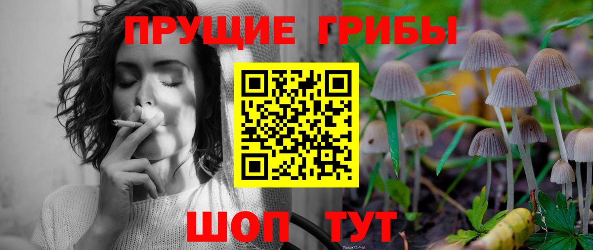 Обь  Галлюциногенные грибы Cubensis  Вход с VPN 